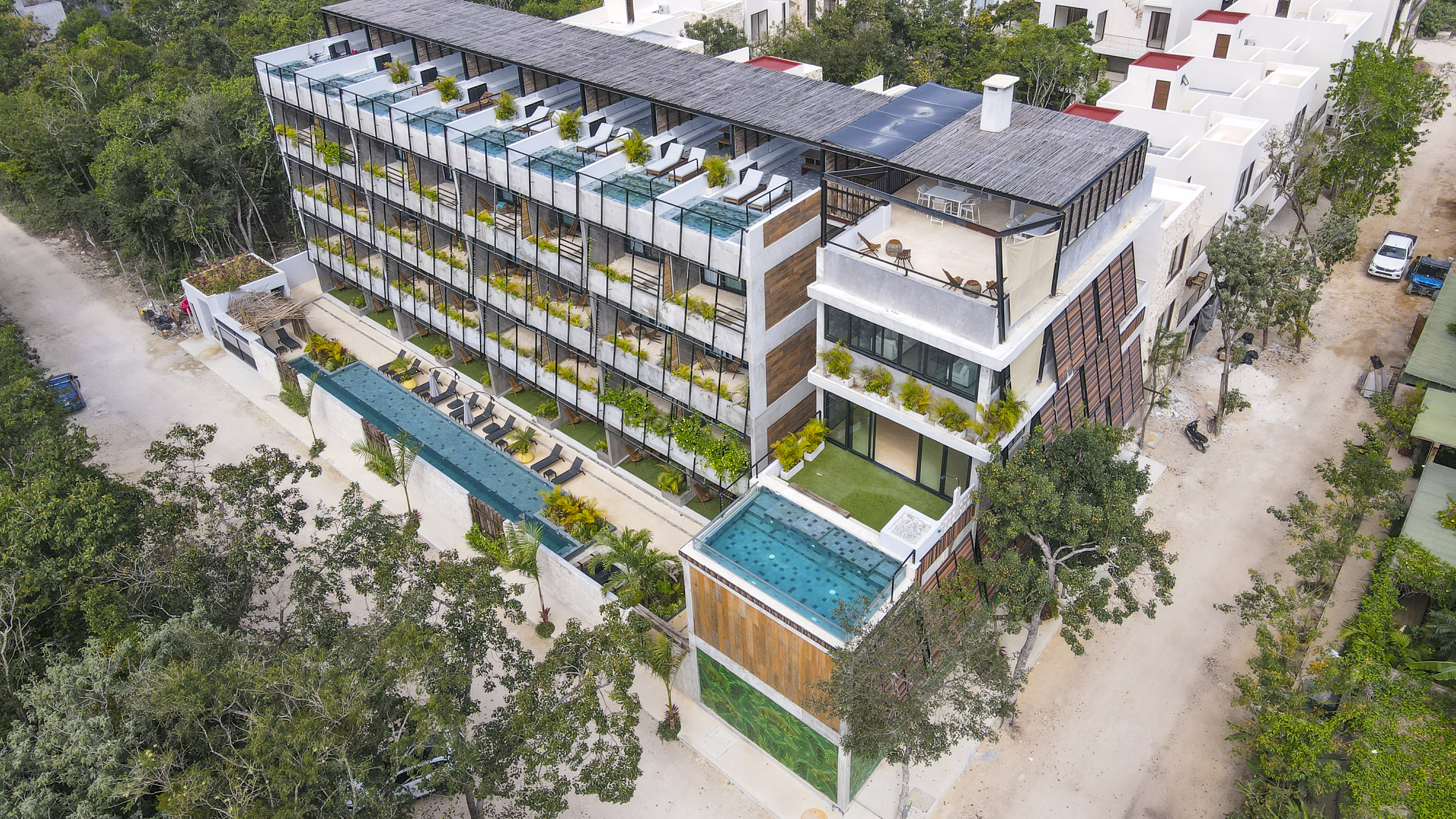 foto de perfil dezel-va-tulum