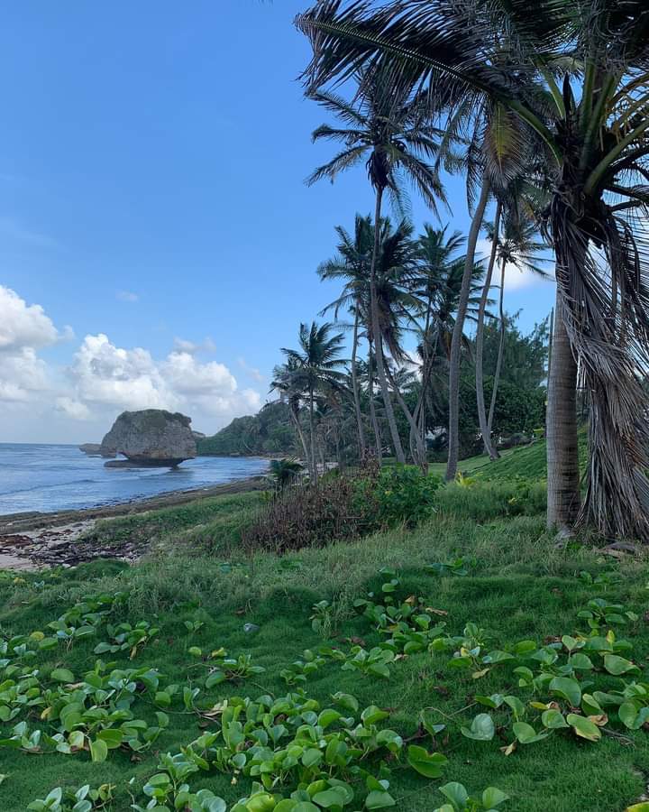 foto de perfil deguillermo-aguilar