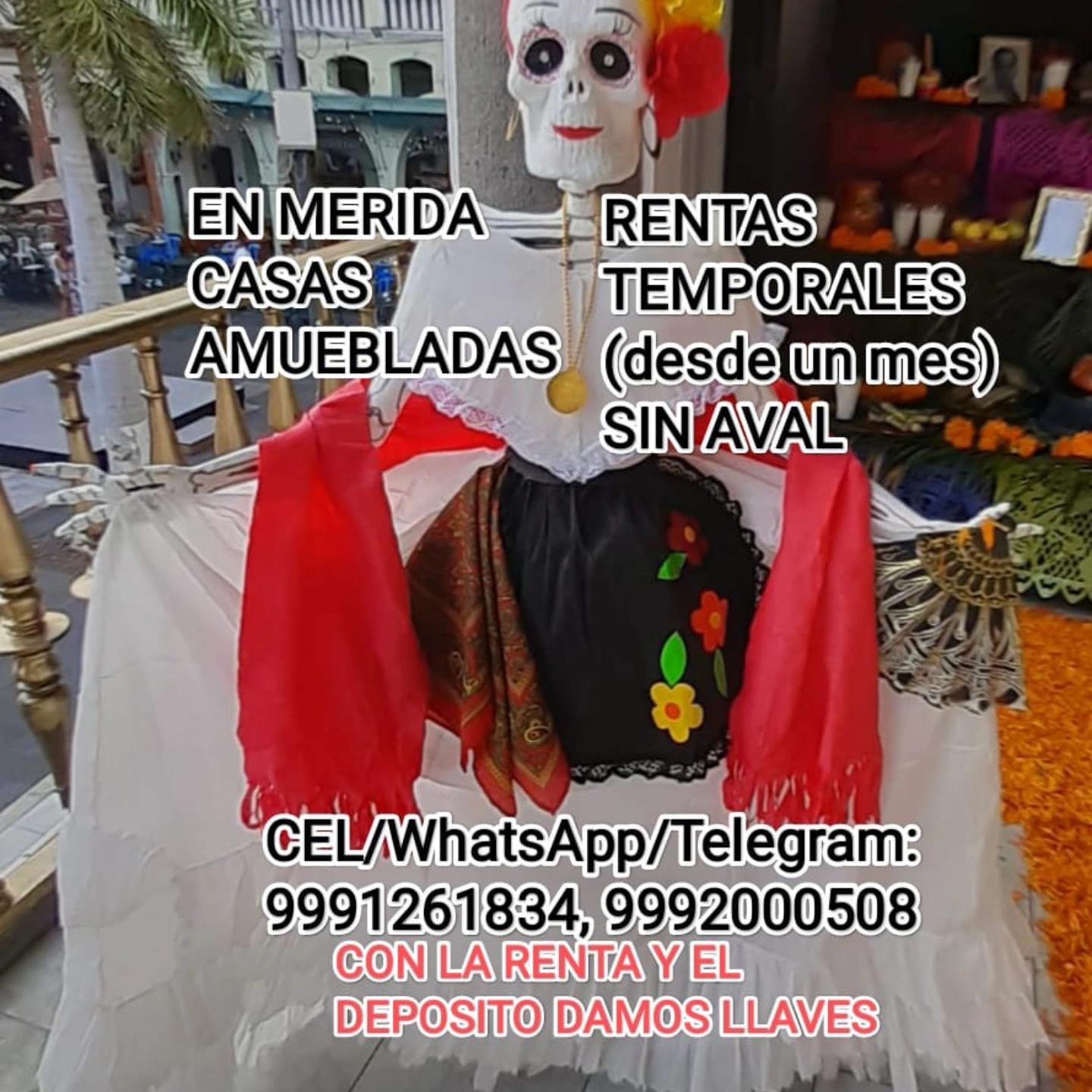 foto de perfil deLaura Casas